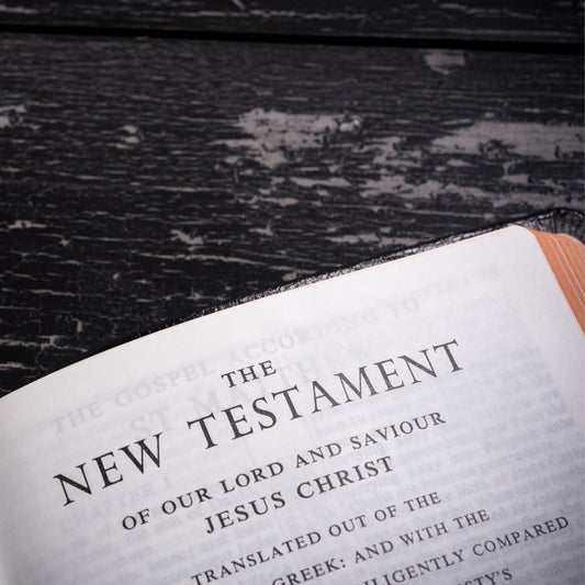 Survey of the New Testament (HUM 2203)