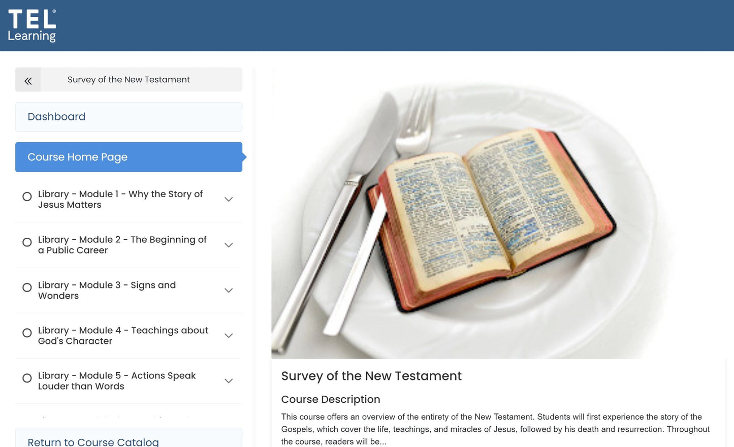 Survey of the New Testament (HUM 2203)